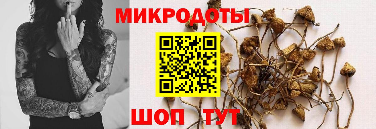 Галлюциногенные грибы MAGIC MUSHROOMS  наркотики  Балашиха  Вход с VPN 